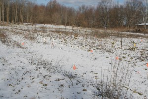 IMG_0912