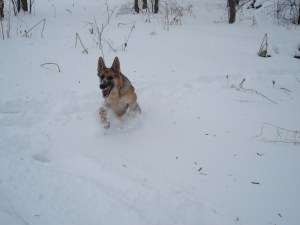 Sophie bursts from a drift